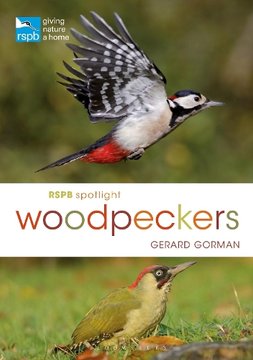 RSPB Spotlight: Robins