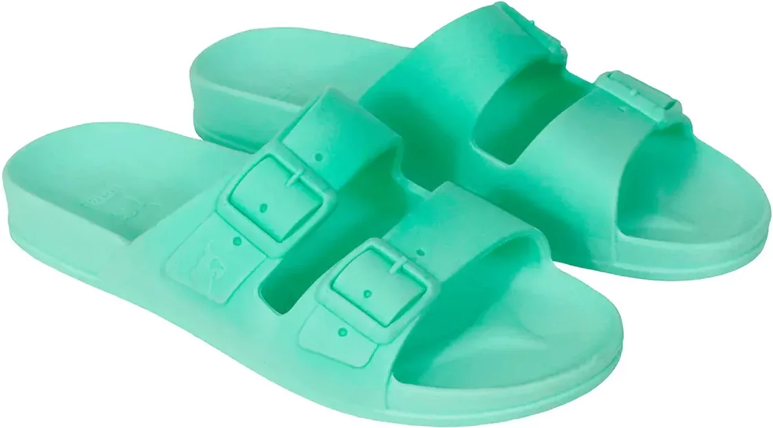 Slides Cacatoès Rio De Janeiro