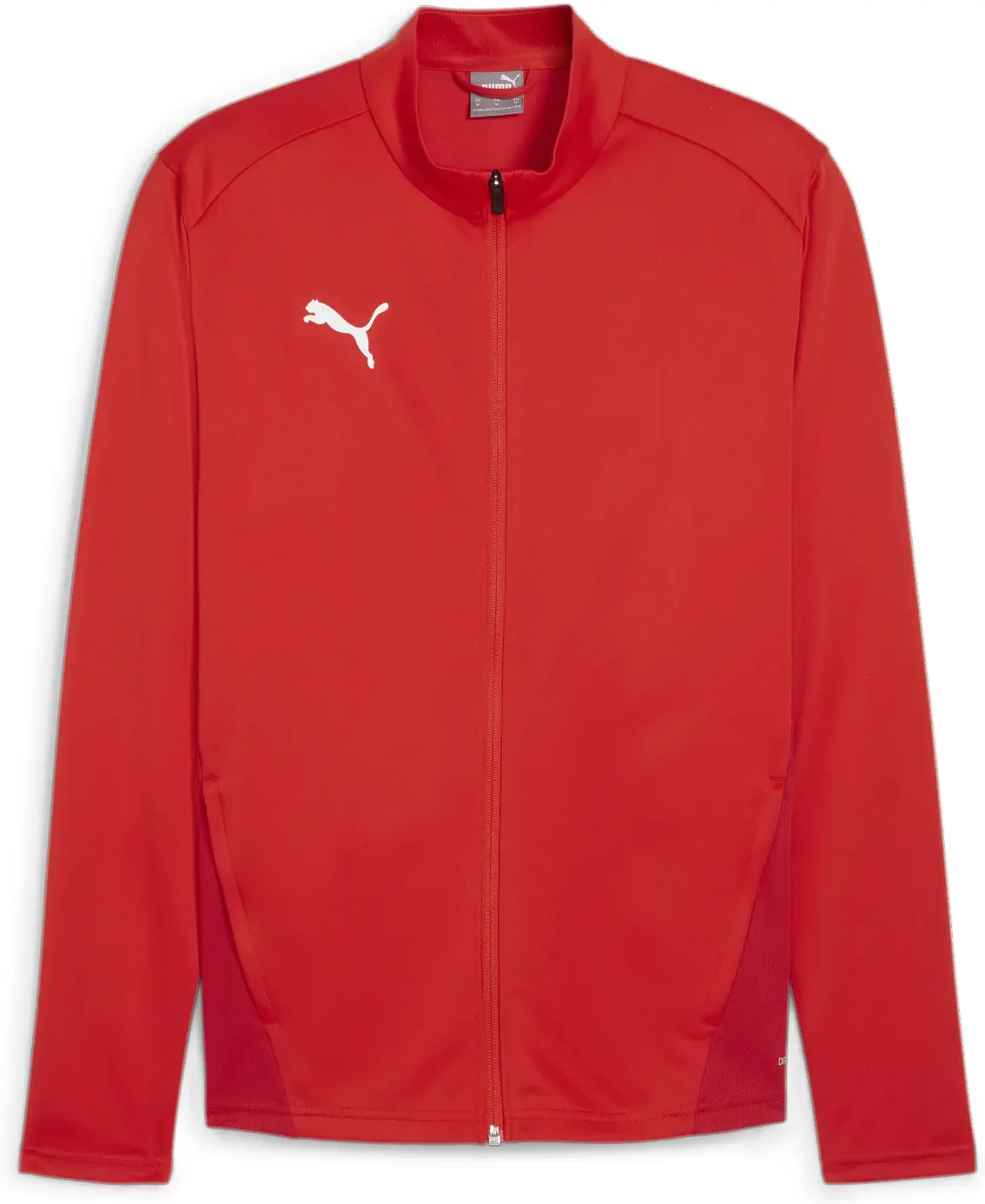 Tracksuit Puma TeamGoal