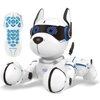 Aosom Profitez de 15 % de réduction sur le chien robot POWER PUPPY programmable