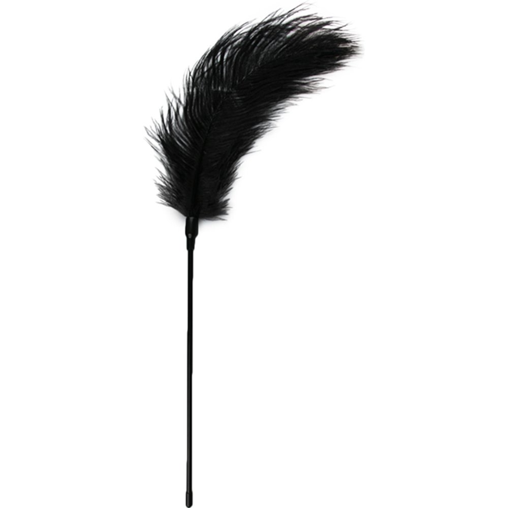 Easytoys Fetish - Fouet à plumes noir