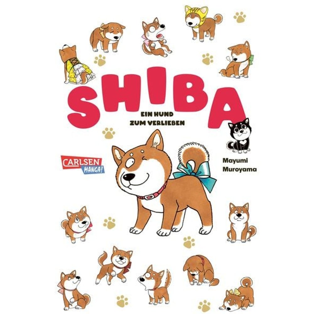 Shiba - Ein Hund zum Verlieben
