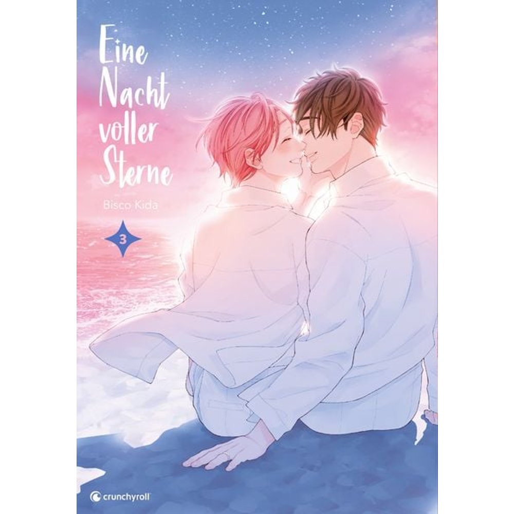 Eine Nacht voller Sterne – Band 3 (Finale)