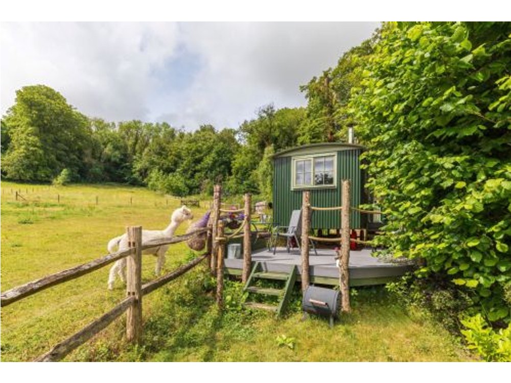 Dorset Alpaca Shepherds Hut