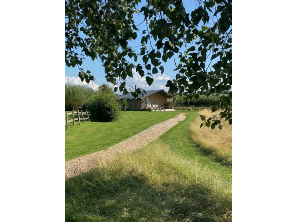 Tall Trees Glamping