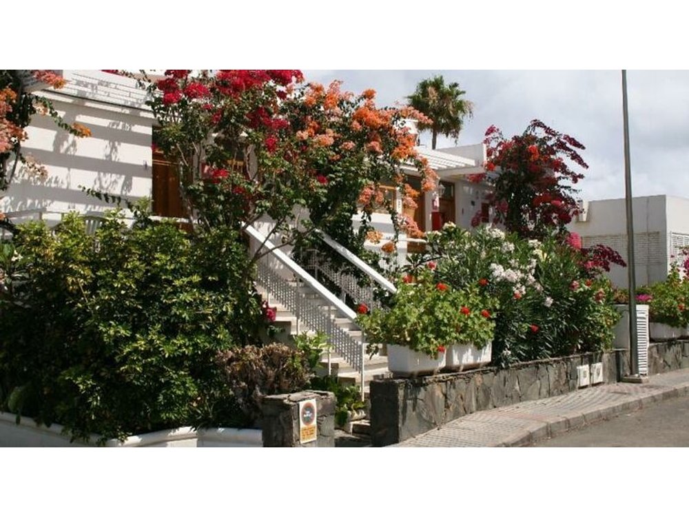 El Capricho