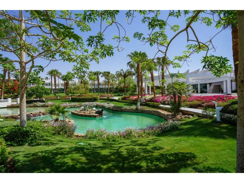 Royal Monte Carlo - Adults Only
