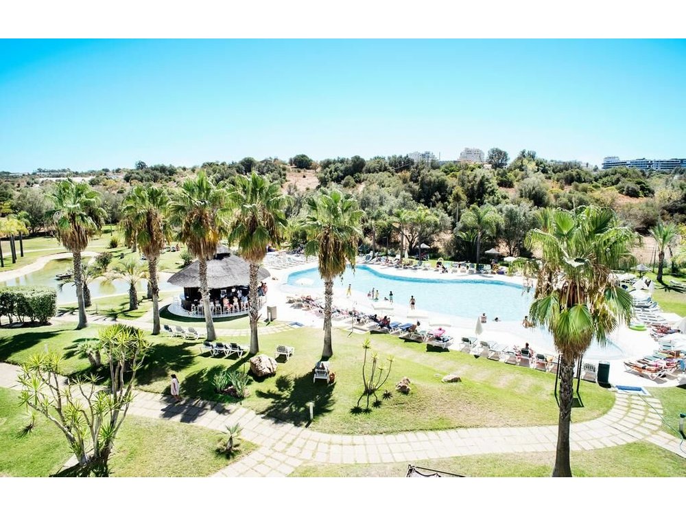The Navigator – Palm Oasis Alvor