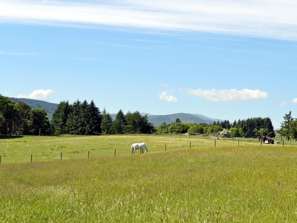 Boreland Farm Cottages - The Wee Cabin