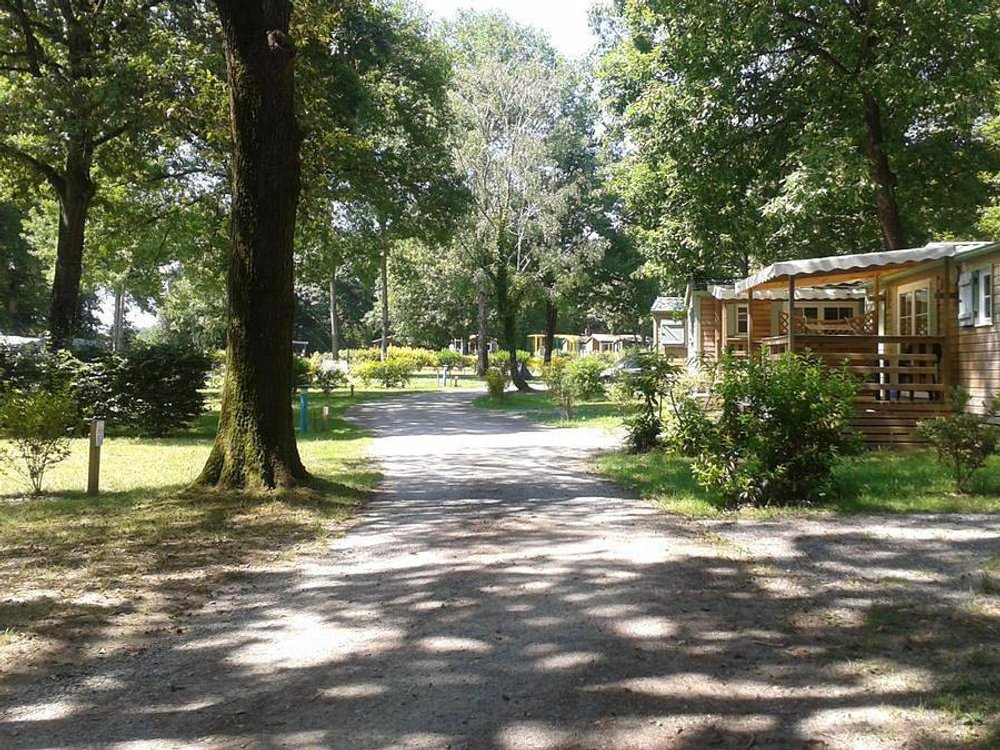 Camping in Vendée from £57 per night