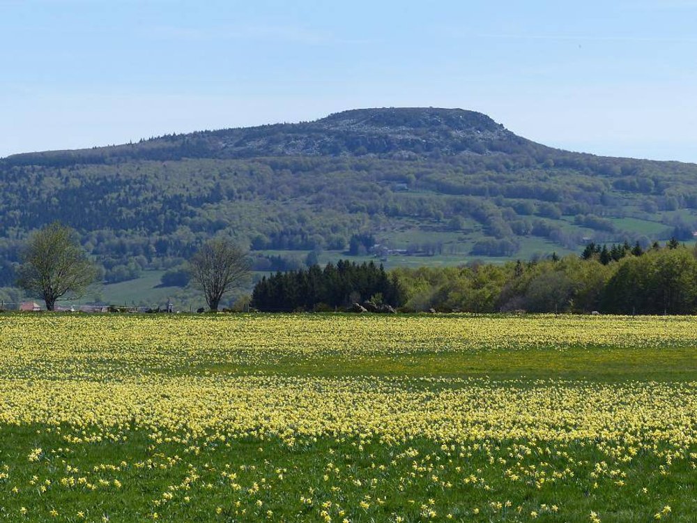 Camping in Ardèche from £46 per night