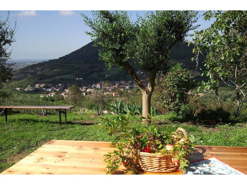 Holiday apartment in Cinto Euganeo from £110 per night