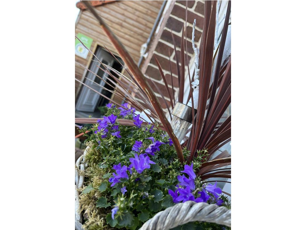 Holiday home in Eu from £40 per night