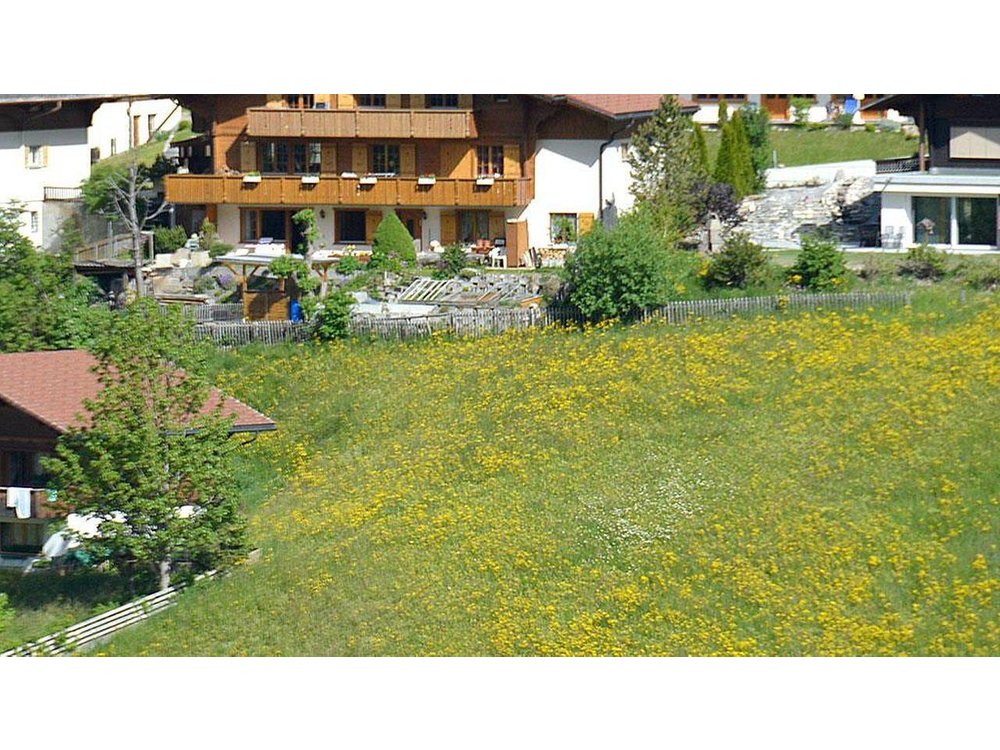 Holiday apartment in Adelboden from £121 per night