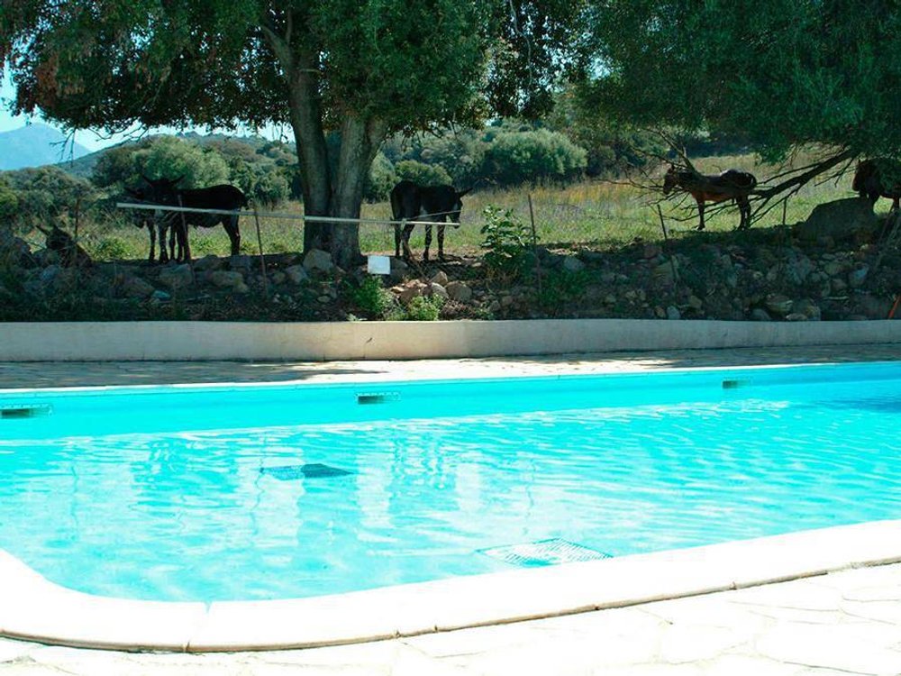Holiday home in Casaglione from £43 per night