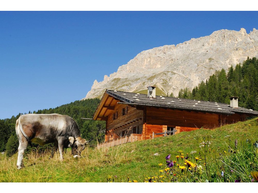 Holiday home in Latemar from £337 per night