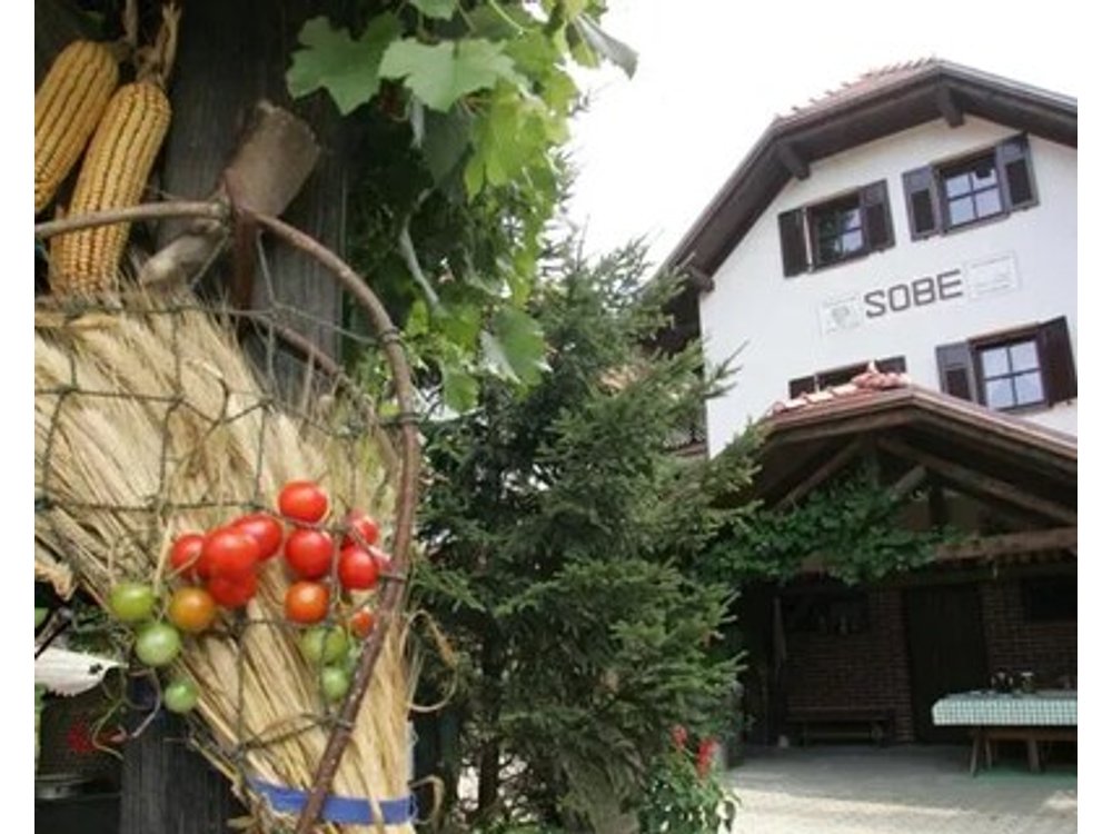Farm Stay Frank Ozmec Wine and Glamping estate