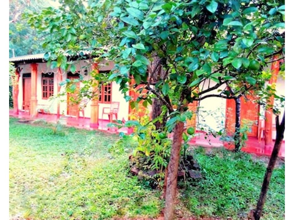 Sisira Natural Lodge - Sigiriya