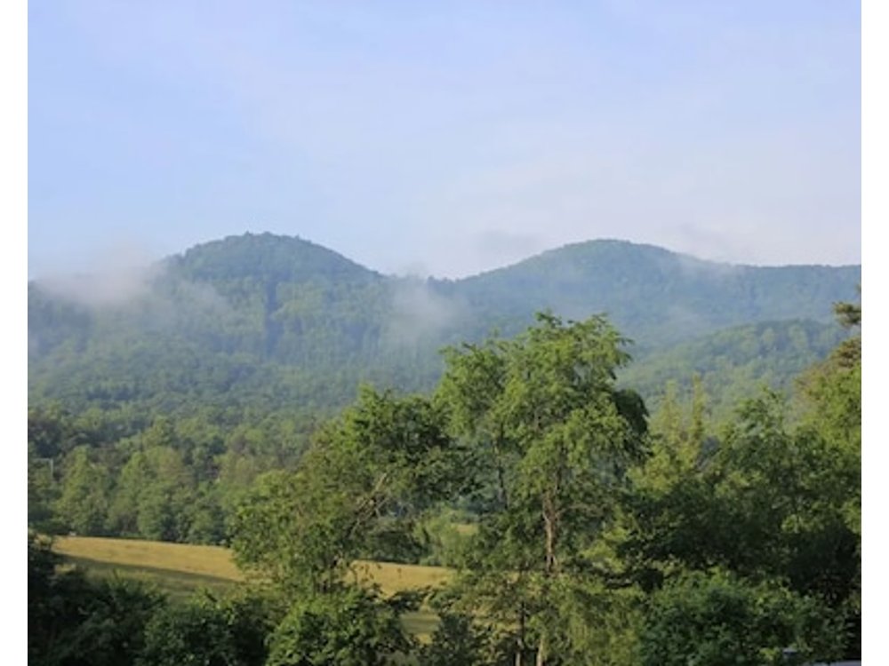 Mountain Views Hot Tub And Pet Friendly Cottage