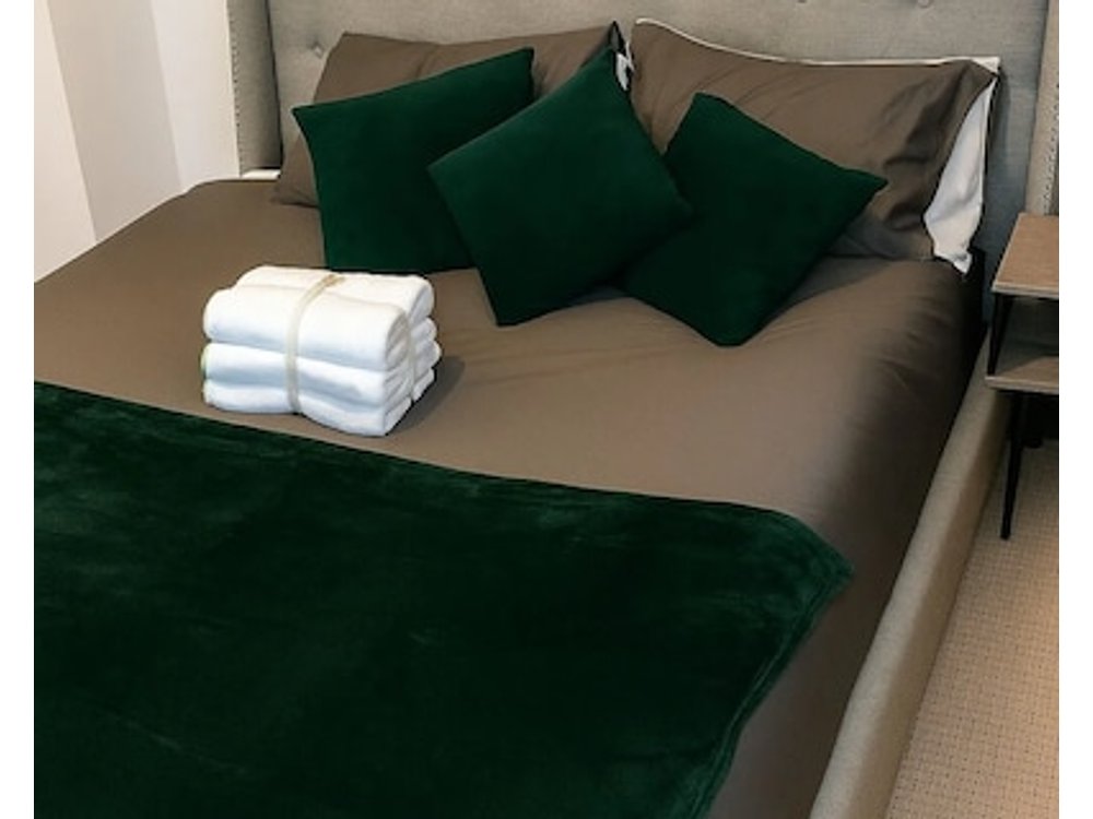 Entire luxury house Free Parking accommodations for contractors and long stays