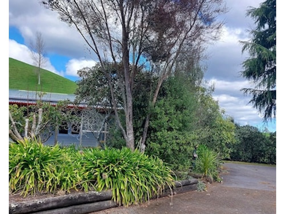 Captivating Rural Beauty Serene Getaway Nestled Midway Rotorua & Taupo.