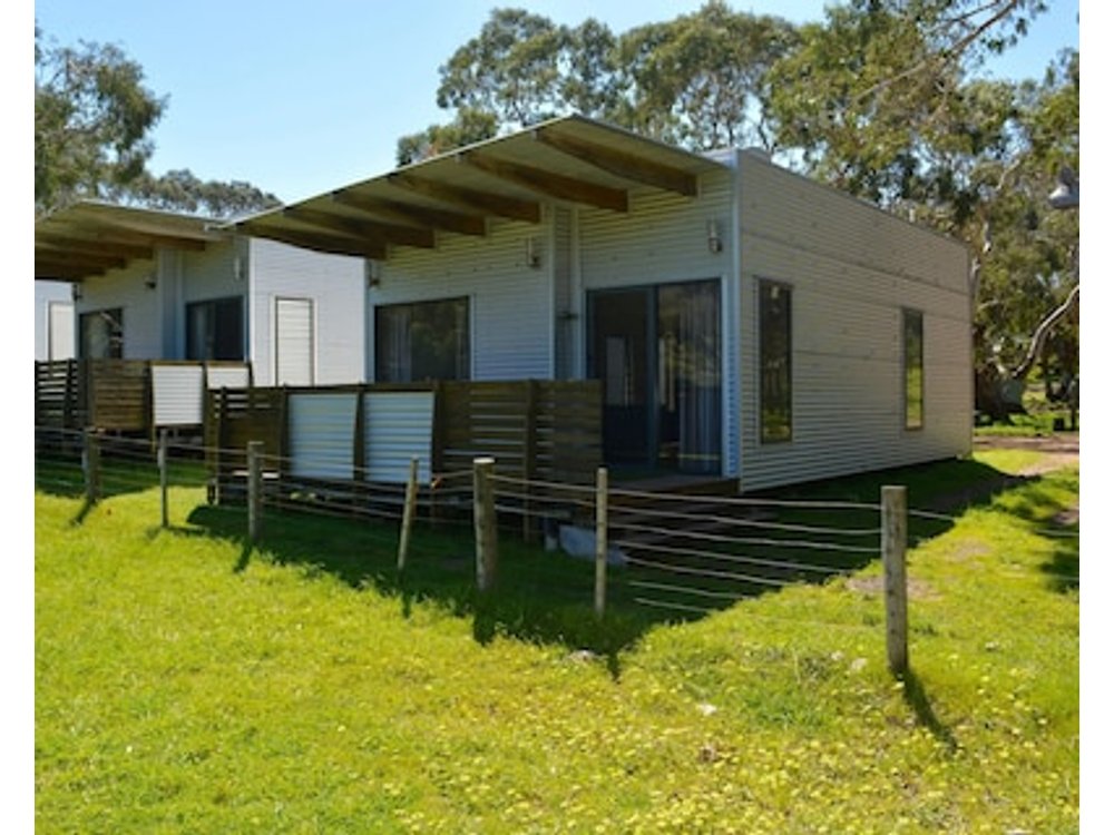 Bimbi Park - Camping Under Koalas