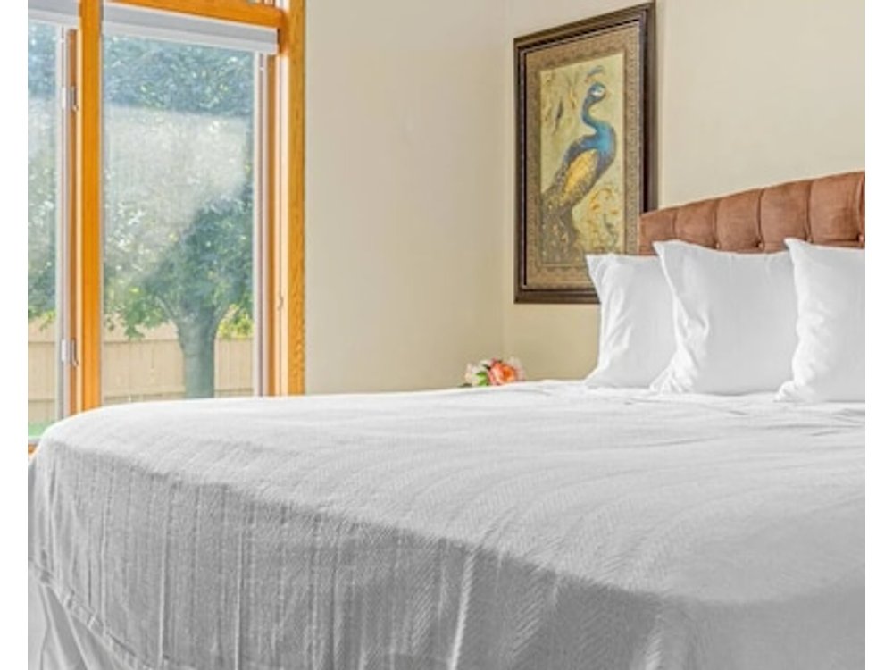 Minne-getaway: Modern Cottage Luxurious Villa Stay