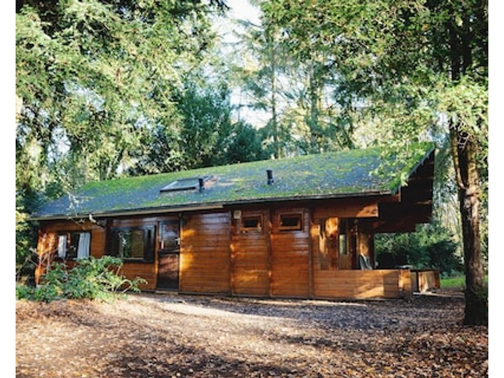 Cozy Nature Cottage In Forest With Private Parking