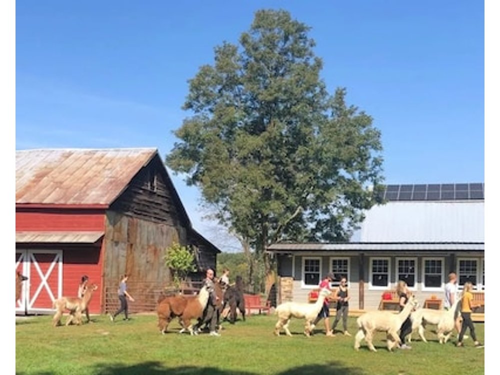 Hudson Valley Farm Getaway- West