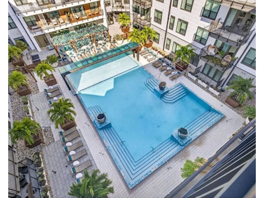 Tampa Getaway | Luxury & Peace | Pool & Gym!