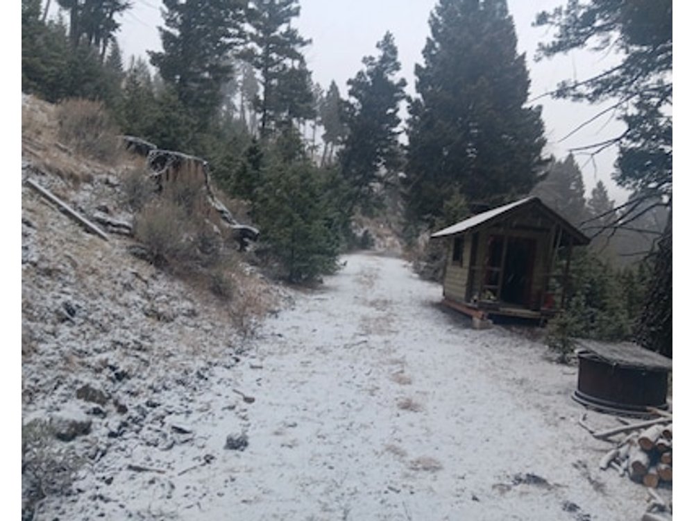 Cozy 1-bedroom cabin in the mountains just outside Boulder. Perfect getaway!