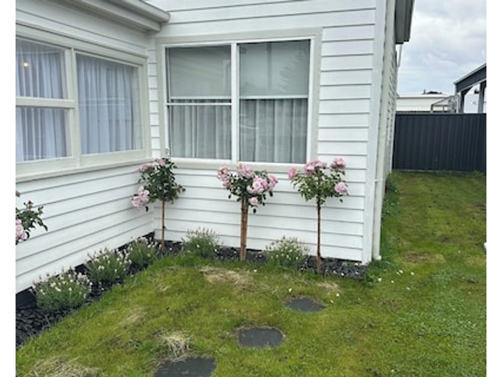 Cosy Coastal Cottage In Stanley Beautiful Outdoor Fire Pit. Pet Friendly.