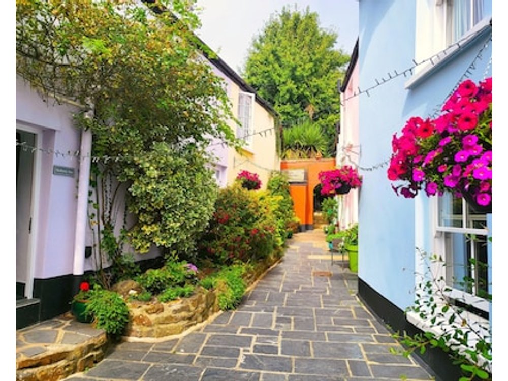 Pear Tree Cottage Hidden In The Heart Of Appledore Within 100m Of The Quay
