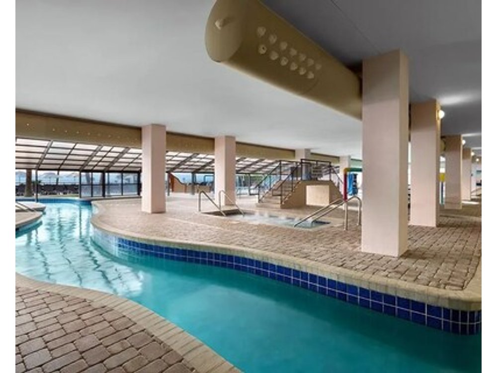 Palms Resort View Founders One Bedroom Suite - Your Coastal Getaway Awaits·
