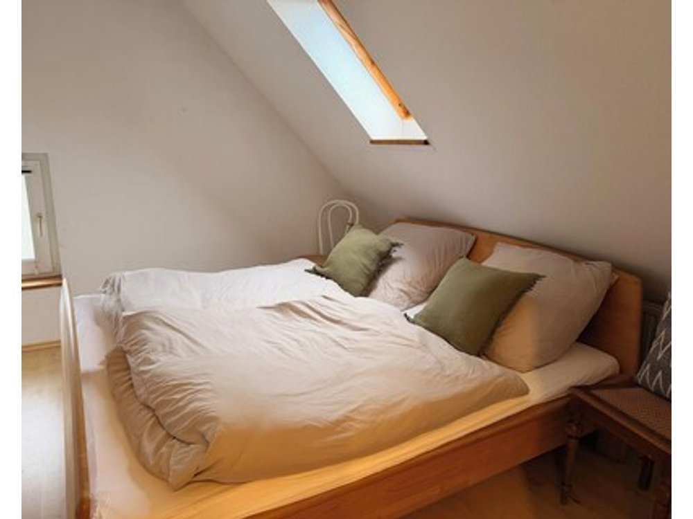 Vacation apartment in Detmold - Diestelbruch
