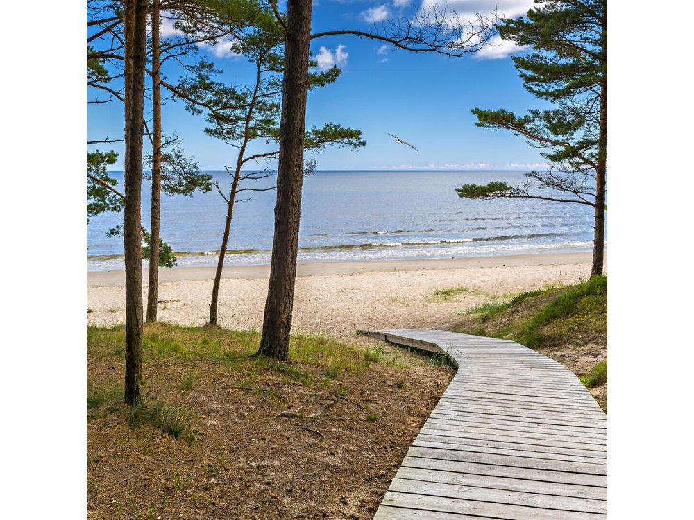 Full-Day Private Trip to Jurmala, Fisherman Villages and Nature Trails from Riga