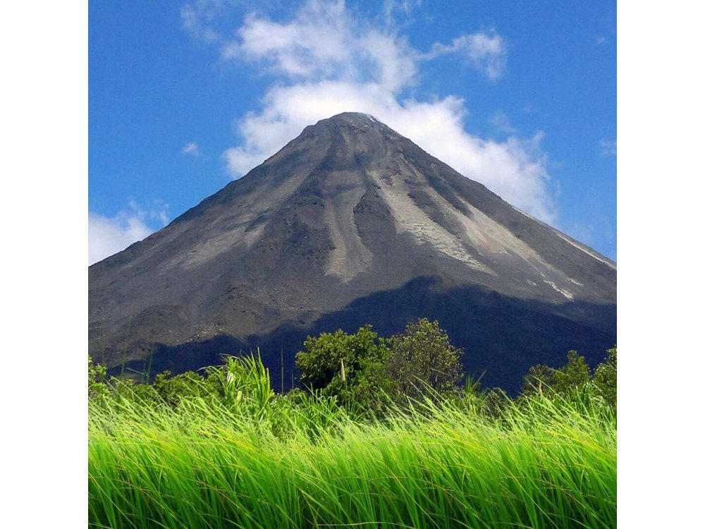 Day Trip from San Jose to Arenal Hanging Bridges & Tabacon Hot Springs