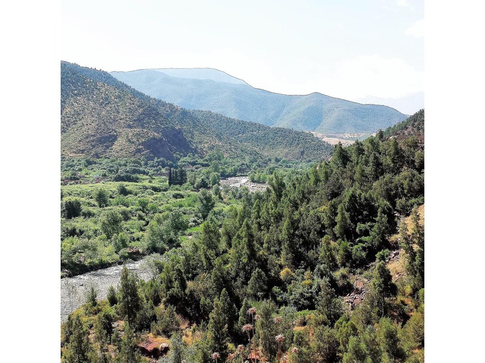 Private Day Tour to Ourika Valley including Guided Hike and Lunch from Marrakech