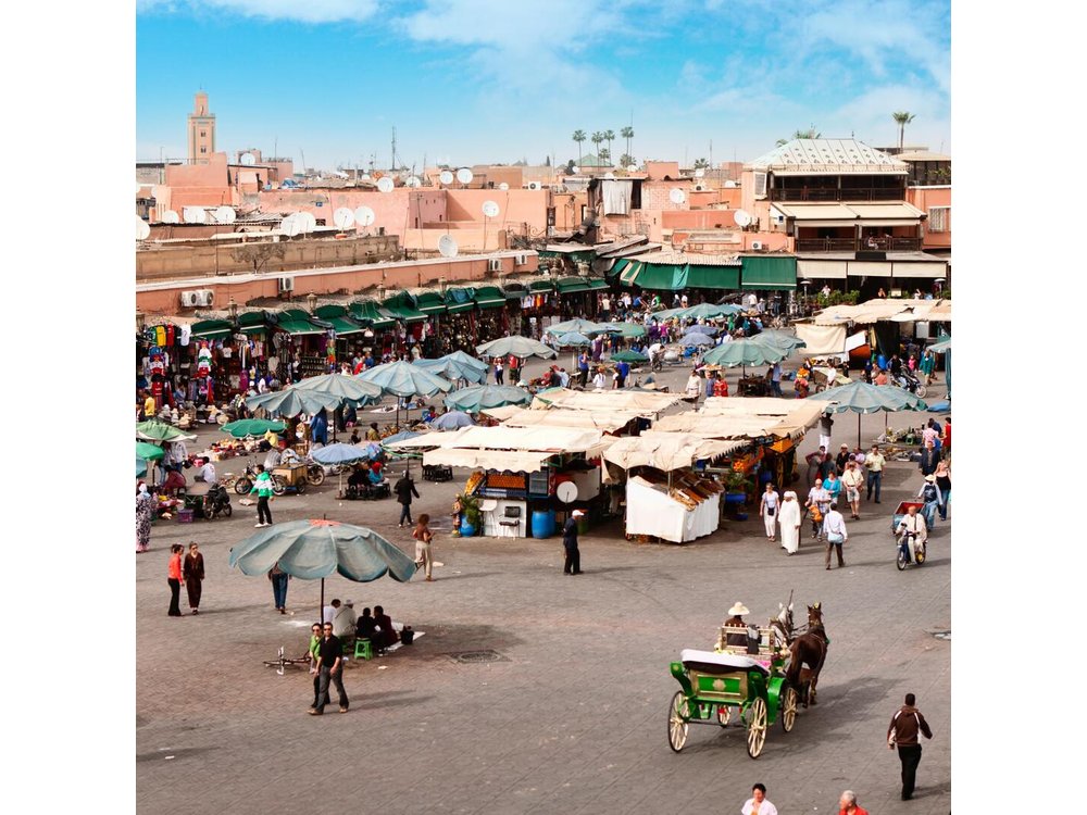 Marrakech Guided Day Trip from Casablanca: Djemaa el-Fna Square and Bahia Palace