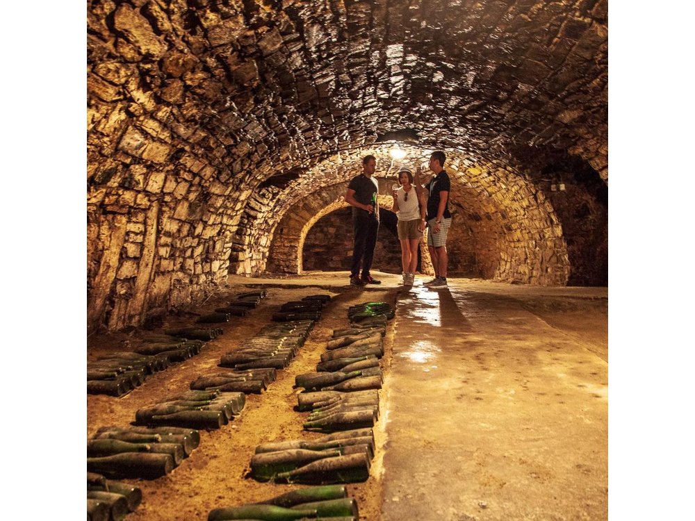 Private Bohemia Wine Tour from Prague with Gourmet Tastings