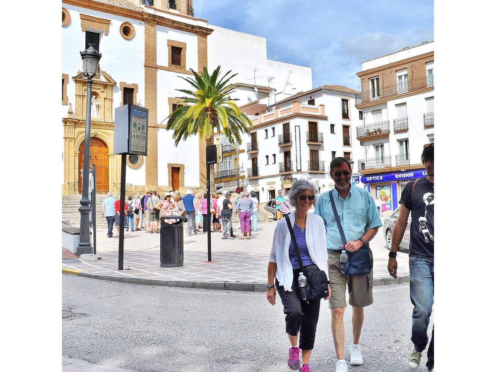 Ronda & White Villages Small Group Tour from Seville