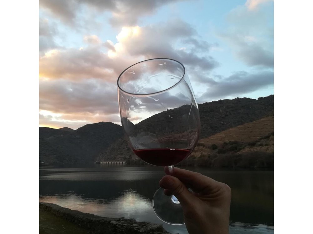 Full-Day Porto and Douro Valley Private Wine Tour with Lunch