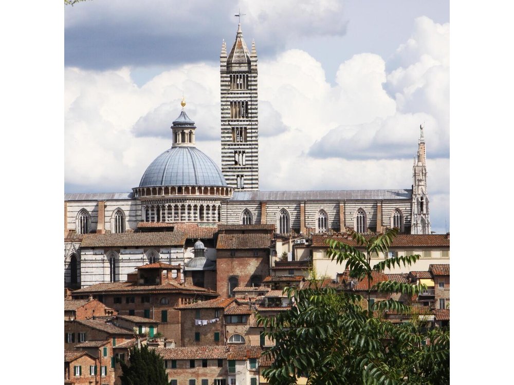 Private Tour: Siena Walking Tour