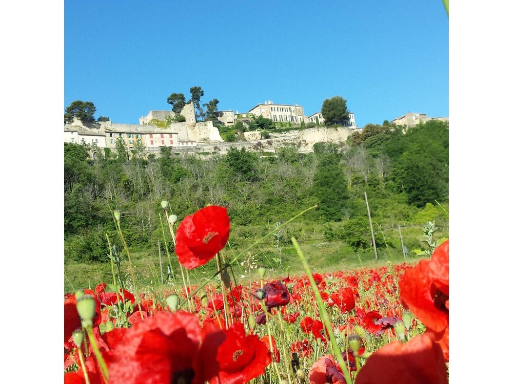 Custom Half-Day Private Tour through Provence