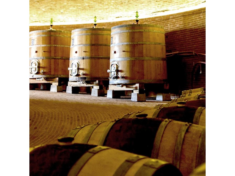 Small-Group Brunello di Montalcino Wine-Tasting Trip from Siena