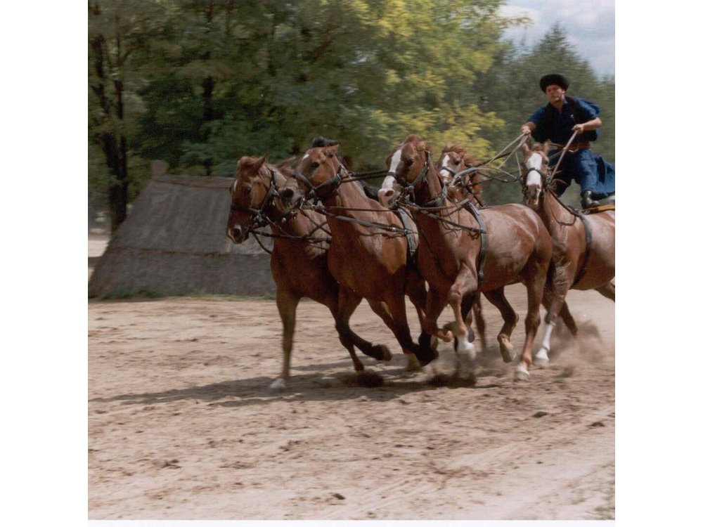 Budapest Puszta Day Trip to Kecskemet with Horse Show & Lunch