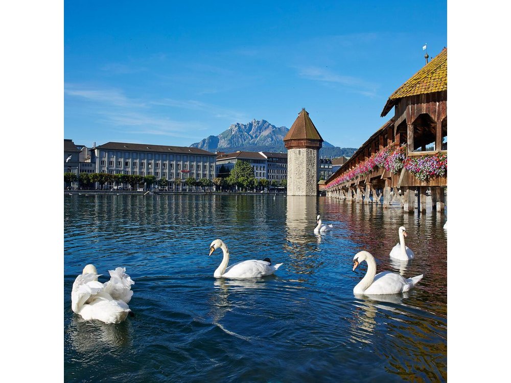Lucerne Day Trip from Zurich Including Lake Lucerne Cruise