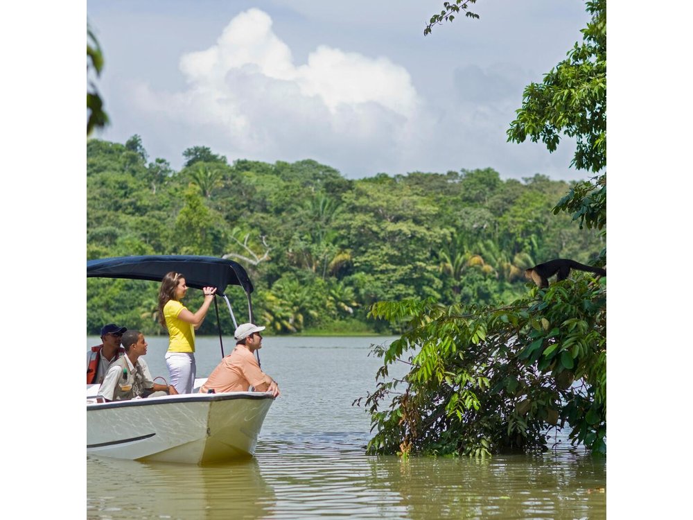 Gamboa Rainforest Experience From Panama City
