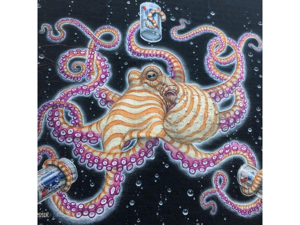 Offbeat Street Art Tour of Chicago: Urban Graffiti, Art, and Murals