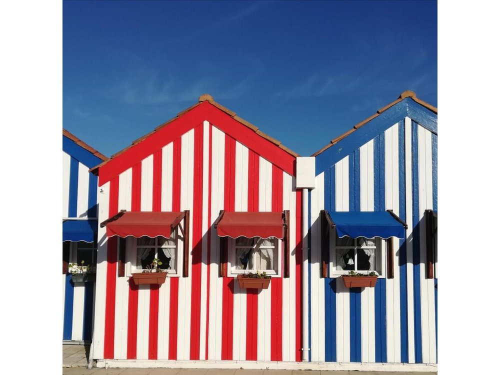 Aveiro and Coimbra Small Group Tour with Moliceiro Boat Cruise